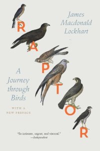 cover of the book Raptor: A Journey Through Birds