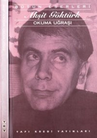 cover of the book Okuma Uğraşı