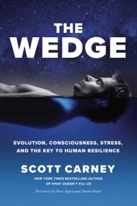 cover of the book The Wedge