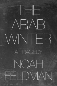 cover of the book The Arab Winter: A Tragedy