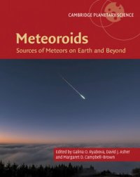 cover of the book Meteoroids: Sources of Meteors on Earth and Beyond