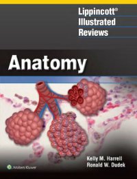 cover of the book Lippincott Illustrated Reviews: Anatomy