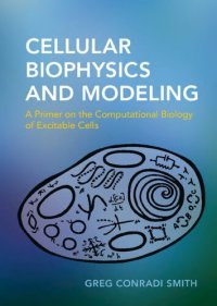 cover of the book Cellular Biophysics and Modeling: A Primer on the Computational Biology of Excitable Cells