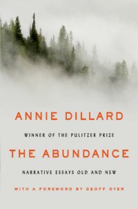 cover of the book The Abundance