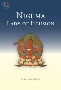 cover of the book Niguma, Lady of Illusion