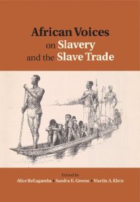 cover of the book African Voices on Slavery and the Slave Trade: Essays on Sources and Methods