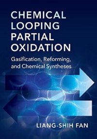 cover of the book Chemical Looping Partial Oxidation: Gasification, Reforming, and Chemical Syntheses