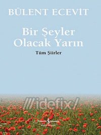 cover of the book Bir Şeyler Olacak Yarın