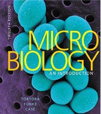 cover of the book Microbiology : an introduction