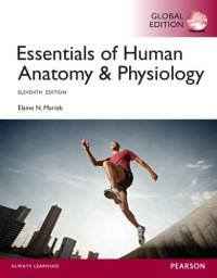 cover of the book Essentials of Human Anatomy & Physiology