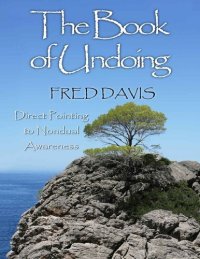 cover of the book The Book of Undoing: Direct Pointing to Nondual Awareness