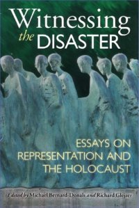 cover of the book Witnessing the Disaster: Essays on Representation and the Holocaust