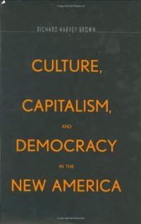 cover of the book Culture, Capitalism, and Democracy in the New America