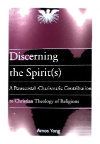 cover of the book Discerning the spirit(s) : a Pentecostal-charismatic contribution to Christian theology of religions