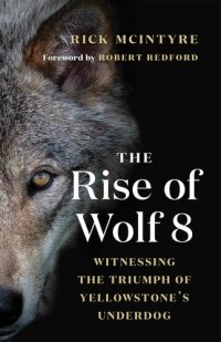 cover of the book The Rise of Wolf 8: Witnessing the Triumph of Yellowstone's Underdog