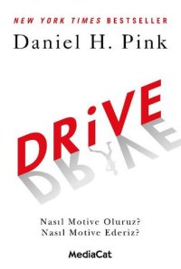 cover of the book Drive