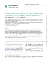 cover of the book What binds us? Inter-brain neural synchronization and its implications for theories of human consciousness