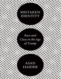 cover of the book Mistaken Identity: Race and Class in the Age of Trump