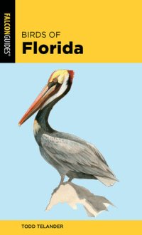 cover of the book Birds of Florida