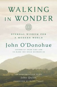 cover of the book Walking in Wonder