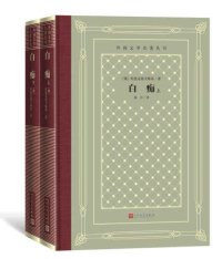 cover of the book 白痴