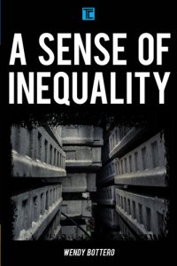 cover of the book A Sense of Inequality