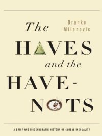 cover of the book The Haves and the Have-Nots: A Brief and Idiosyncratic History of Global Inequality