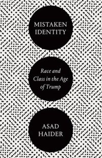 cover of the book Mistaken Identity: Race and Class in the Age of Trump