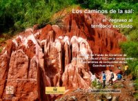 cover of the book Los caminos de la sal: el regreso al territorio excluido. Efectos del Fondo de Iniciativas de Afirmación Cultural (FIAC) en la  recuperación de los ámbitos de comunidad de los Quechua-lamas