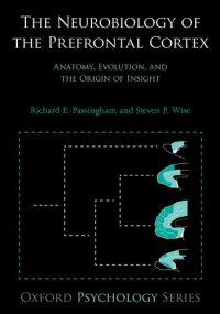 cover of the book The Neurobiology of the Prefrontal Cortex: Anatomy, Evolution, and the Origin of Insight