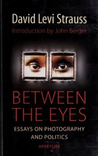 cover of the book Between the Eyes: Essays on Photography and Politics