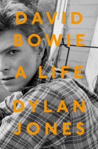 cover of the book David Bowie