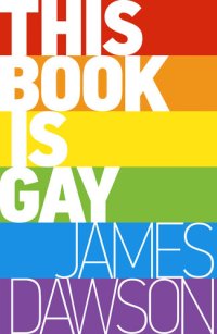 cover of the book This Book Is Gay