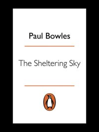 cover of the book The Sheltering Sky