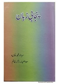 cover of the book پنجابی زبان