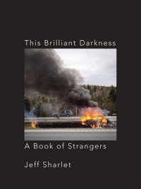 cover of the book This Brilliant Darkness