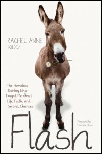 cover of the book Flash: the homeless donkey who taught me about life, faith, and second chances