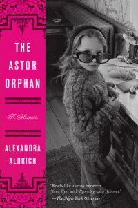 cover of the book The Astor Orphan