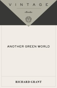 cover of the book Another Green World