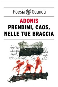 cover of the book Prendimi, caos, nelle tue braccia