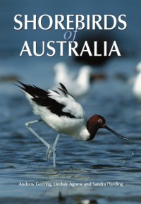 cover of the book Shorebirds of Australia