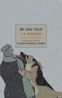 cover of the book My Dog Tulip