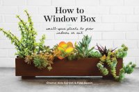 cover of the book How to window box: small-space plants to grow indoors or out