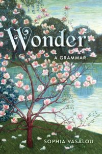 cover of the book Wonder a grammar