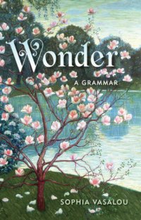 cover of the book Wonder a grammar