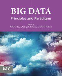 cover of the book Big data principles and paradigms