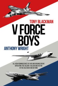 cover of the book V Force Boys