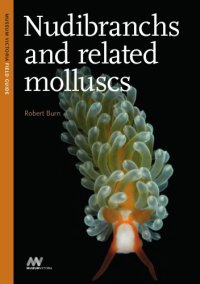 cover of the book Nudibranchs and related molluscs