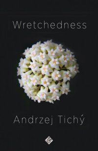 cover of the book Wretchedness