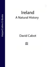 cover of the book Ireland